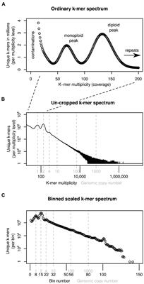 Measuring the Invisible: The Sequences Causal of Genome Size Differences in Eyebrights (Euphrasia) Revealed by k-mers